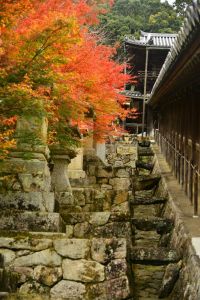 ito_0037.jpg