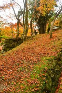 ito_0212.jpg