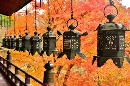 ito_0361r.jpg