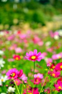 ito_0510.jpg