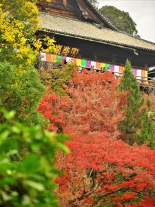 ito_0149.jpg