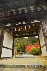 ito_0546.jpg