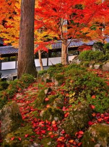 ito_0470.jpg