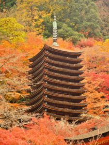 ito_0454.jpg