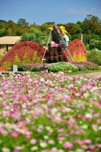 ito_0467.jpg