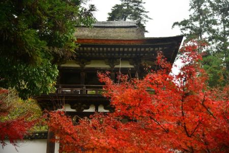ito_0482.jpg