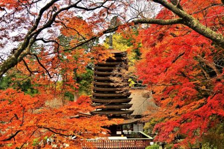 ito_0286r.jpg