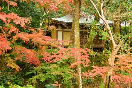 ito_0505.jpg