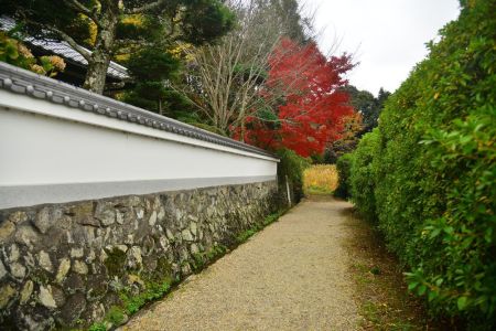 ito_0574.jpg