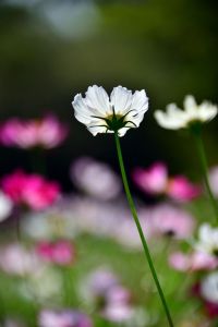 ito_0581.jpg