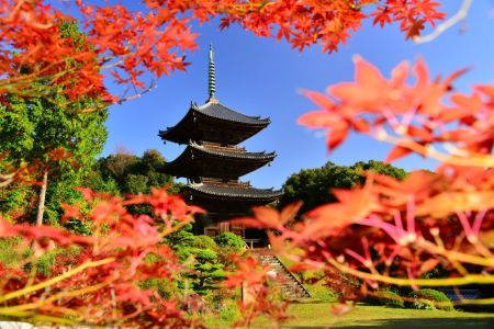 ito_0522.jpg