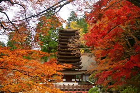 ito_0322.jpg
