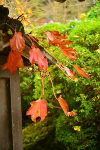 ito_0553.jpg