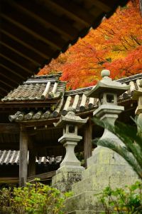 ito_0010.jpg
