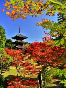 ito_03950.jpg