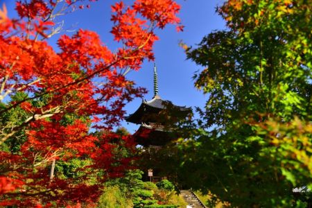 ito_0282.jpg