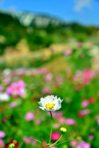 ito_0553.jpg