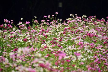 ito_0398.jpg