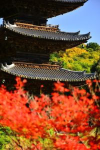 ito_0157.jpg