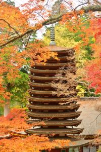 ito_0282.jpg