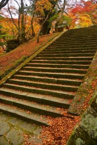 ito_0222.jpg