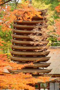 ito_0290.jpg