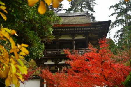 ito_0547.jpg