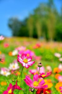 ito_0972.jpg