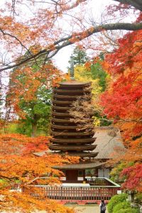 ito_0432.jpg