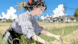 田んぼで農作業をしている女性 | 1418703-10567