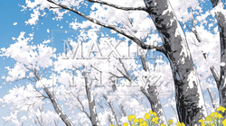 誰もいない満開の桜並木｜1533976-4816