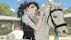 馬の世話をしている若い女性 | 1863768-12943
