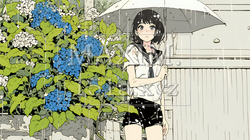 アジサイと梅雨の長雨と若い女性｜2440743-17999