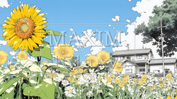 満開のひまわりと真夏の青空｜2622729-8776