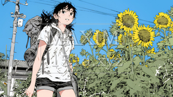 夏の晴天の日、ひまわりの畑を散策している黒髪の若い女性｜2698080-8768