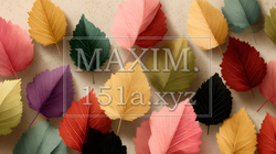 秋の紅葉の葉のフラットな背景画像 | 2862072-12497