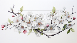 満開の桜の花 | 2923314-19981
