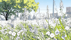 花が咲き乱れる春の野原 | 3019480-17014