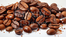 コーヒー豆：水彩画
