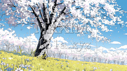 誰もいない満開の桜並木