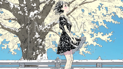 満開の桜の木の下を歩く若い女性｜3415131-7385