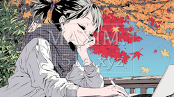 美しい紅葉の中でもPCを手放せない若い女性 | 3519967-6227