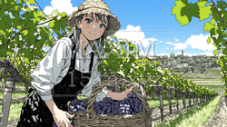 葡萄を収穫している若い女性 | 377866-6099