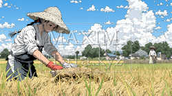 田んぼで農作業をしている女性 | 3803270-10559