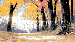 秋の紅葉の森の小径