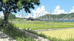 田んぼ | 3887364-10521