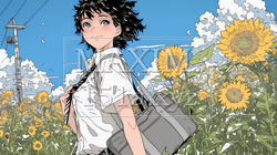 真夏の青空のもと、ヒマワリ畑を散策している若い女性｜3955162-10365