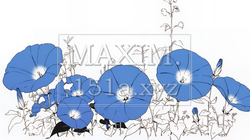 アサガオの花（シンプルな色使い） | 3975064-10217