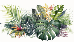 色々な熱帯植物の水彩画 | 4071882-18304