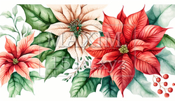 ポインセチアの花の水彩画